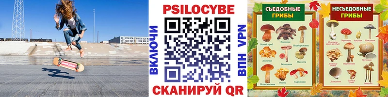 ОМГ ОМГ ONION  Саранск  Галлюциногенные грибы мицелий 